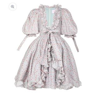 NWT MARIE DRESS in CHATEAU ROSE